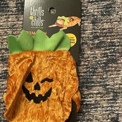 Pumpkin Reptile Costume Bearded Dragon/Reptile Merry & Bright Christmas Gift