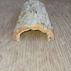 Natural Log Reptile Hide Cave House 7″-8″ Long 3″-4″ Wide 3″ Tall