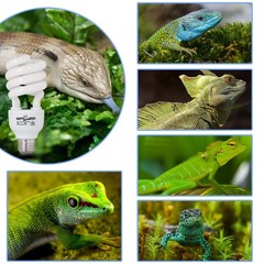 UVB Reptile Light Energy Saving Lamps UVB Bulb Spiral Compact 26 W UVB 5.0 Re…