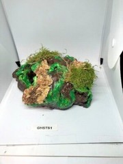 Arboreal Attitudes Weighted Ground Hides For Terrariums And Cages For Reptiles