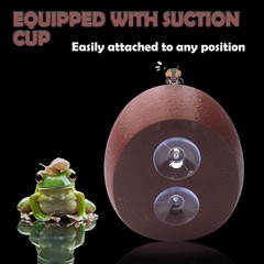 Jumping Spider Nest Spider Hideout Tree Frog Hide Hermit Crab Climbing House …
