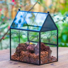 Small Insect Enclosure Vented Glass 4.9″ Black Vintage Home Decor Terrarium