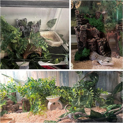 Tank Accessories for Bearded Dragon Include Resin Classical Castle Reptile Hammo