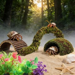 Hermit Crab Accessories, 6 Pieces Hermit Crab Climbing Toys Coconut Shell Hut wi