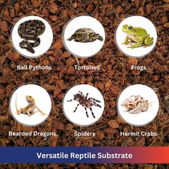 Coconut Chip Substrate for Reptiles by ReptiPlus – 10 LB Compressed Block Expand