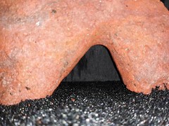 Reptile snake lizard fish aquarium Rock cave