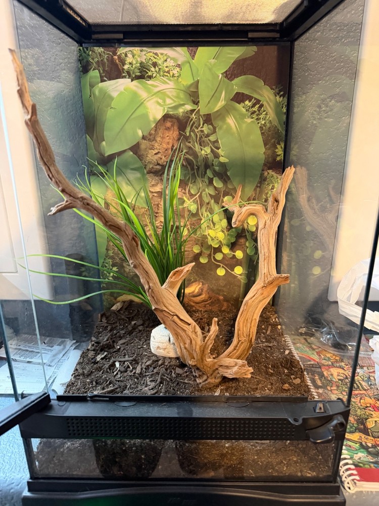REPTIZOO 135 Gallon Glass Reptile Terrarium Tank, 36″ x 18″ x 48″ Wide & Tall…