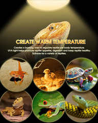 Reptile Heat Lamp Bulbs -100W UVA Natural Daylight Heating Lamp Basking Bulb for