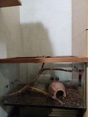 REPTILE TERRARIUM LIBRARY – SIZE: L 80 x D 50 x H 45 Complete