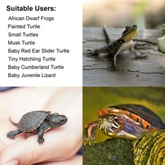 Resin Turtle Reptile Platform Basking Ramp Tank Water Aquatic Climb Ornament