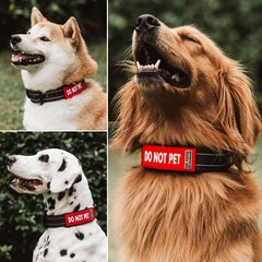 2-Pack Waterproof Collar Sleeves | Fits Any 1 Inch Wide Dog Collar | Dual Sid…