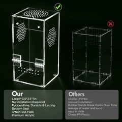 Pre-Assembled Jumping Spider Enclosure