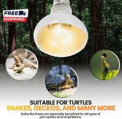 (4-Pack 100W Reptile Heat Lamp Bulbs – UVA Daylight Basking Light Bulbs