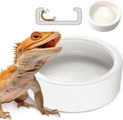 Large White Ceramic Reptile Bowl – Perfect Anti-Escape Design for Feeding