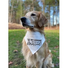 My Humans are Getting Married Dog Bandana Engagement Dog Bandana Pet Scarf En…