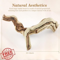Janinka Wood Reptile Branch 10-12″