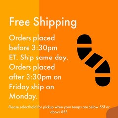 250 LARGE SUPERWORMS 1.5″-2″ – Free Shipping, Live Arrival Guarantee