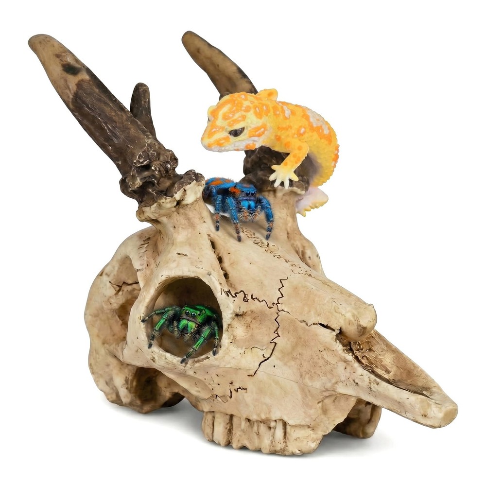 Mini Reptile Hide Cave Small Terrarium Shelter Spider Tarantula Gecko 4 Inch