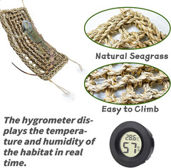 15Pcs Bearded Dragon Tank Accessories, Reptile Plants, Reptile Hammock, Lizard H