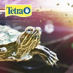 Tetra TetraFauna PRO ReptoMin Pro Sticks Adult Turtle Formula Daily Diet for