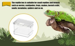 Reptile Feeding Box Lightweight Portable Ventilation Container Storage Box