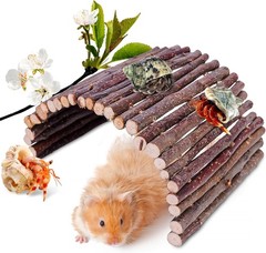 Hermit Crab Hideout & Climbing Toys Large Size Reptile Climbing Decor