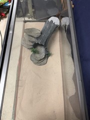 Reptile 20g tank w/supplies