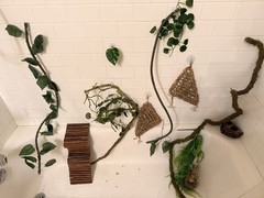 Reptile Habitat Accessories Bundle for Terrarium
