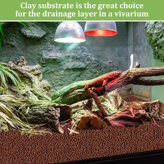 10LBS Expanded Clay Balls Terrarium Substrate for Reptiles – 100% Organic Lightw