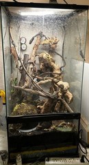18″ x 18″ x 36″ ZooMed Vivarium w/ Bioactive Substrate and Accessories
