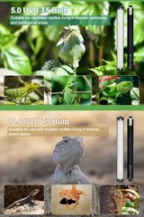 UVB Light for Reptiles, 12 Inch T5 10.0 UVB Reptile Light Fixture 8W, High Ou…