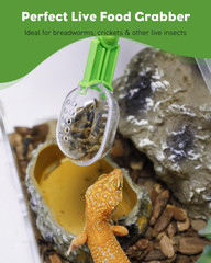 Pawfly 3 Pack Reptile Feeding Clamp, Bug Scooper, Plastic Reptile Poop Scoop, Te