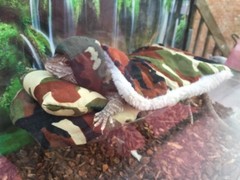 NEW CAMOUFLAGE PRINT LARGE ATTACHABLE RESTING BED SET SOFT COVER 4 BEARDEDDRAGON
