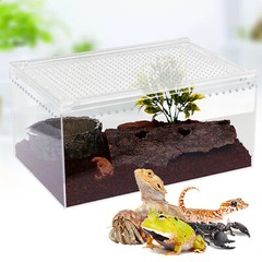 Magnetic Acrylic Large Enclosure 2.5 Gallon 12 X 8 X 6 Inch Reptile Breeding Box