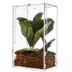 REPTI ZOO Large Tarantula Enclosure Spider Enclosure 14″ X 8″ X 6″, 2 in 1 Ac