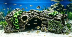 LWT Beard Dragon,Lizard and Reptile Hide,Fish Tank Accessories Hides,Aquarium…
