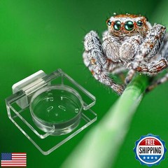Jumping Spider Feeding Dish, Transparent Acrylic Magnetic Tiny Tarantula Food