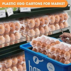 100 Pack Plastic Egg Cartons Cheap Bulk,1 Dozen Clear Empty Egg Cartons for C…