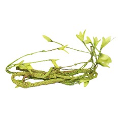 Reptile Vines, Flexible Jungle Climbing Vines Terrarium Plastic Plants and Leave