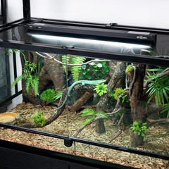 Switchable UVB Light for Reptiles, 24W T5 UVB Light Combo Kit for Tropical & …