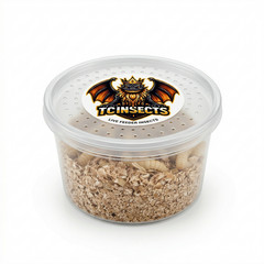 TC INSECTS Live Wax Worms Feeder Insects for Reptiles Amphibians Birds & More