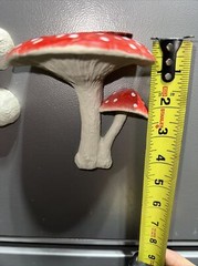 RED reptile magnetic mushroom feeder Ledge With 2 Beer Savers