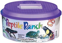 Lee’s Reptile Ranch, Round w/Lid 10 INCH, Purple