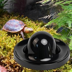 Reptile Feeding Dish Tortoise Food Dish designed for Bearded Dragon Tortoise
