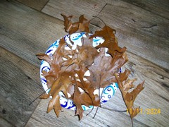 2 Gallon Bags Full Oak Tree Leaf Litter for Aquarium Reptile Terrarium Fish Dry