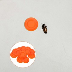 12 Pcs Feeder Insect Feeding Holder Cricket Bowl for Crickets and Roaches