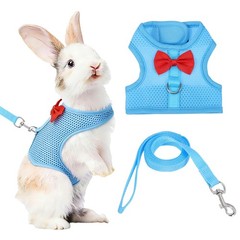 Rabbit Harness and Leash, Small Pet Cute Vest Harness Leash(M, Sky Blue)