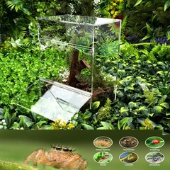 Acrylic Tarantula Enclosure Jumping Spider Enclosure with Front Opening Door …