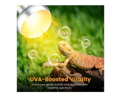Dual Reptile Lamp Fixture with 100W Daytime Heat & 100W Nighttime