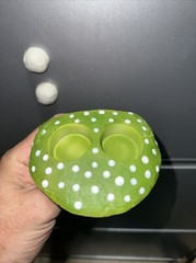GREEN reptile magnetic mushroom feeder Ledge With Beer Savers Pack Of 48 Cups